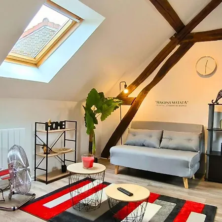 Le Cosy Dampierre Apartment Troyes